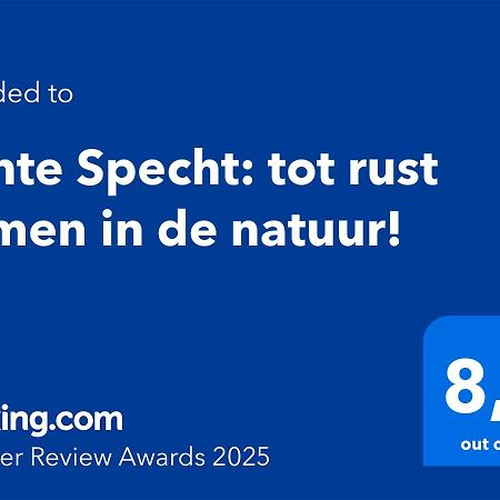 Bonte Specht: Tot Rust Komen In De Natuur! Otterlo Exteriér fotografie