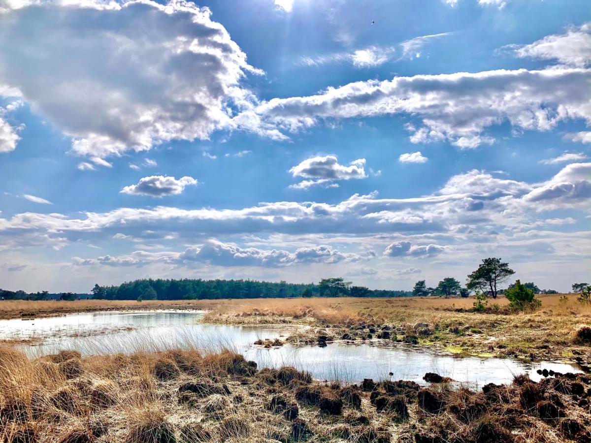 Bonte Specht: Tot Rust Komen In De Natuur! Otterlo Exteriér fotografie